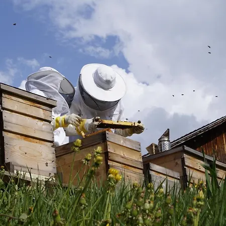 Apartman Simiterhof Lavant