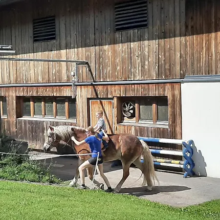 Апартаменты Simiterhof Lavant