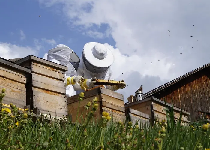 Апартаменты Simiterhof Lavant